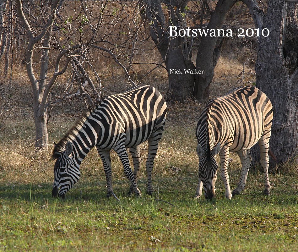 Visualizza Botswana 2010 di Nick Walker
