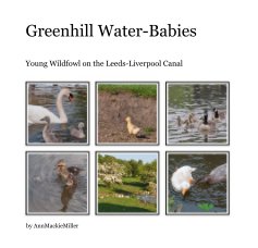 Greenhill Water-Babies book cover