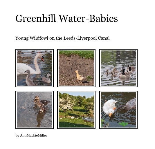 View Greenhill Water-Babies by AnnMackieMiller