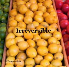 Irreversible book cover