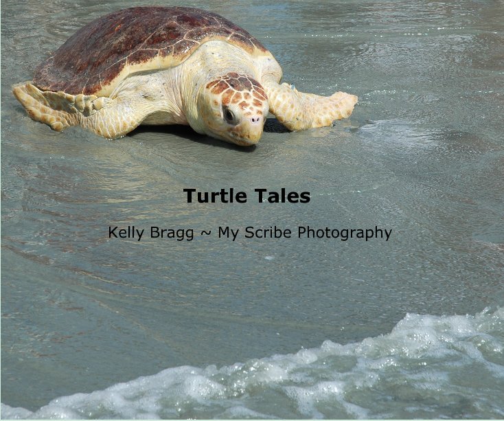 Ver Turtle Tales por Kelly Bragg ~ My Scribe Photography
