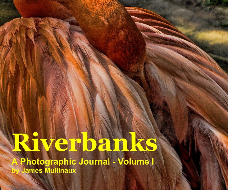 View Riverbanks by James Mullinaux