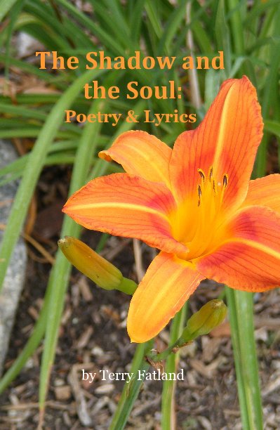 Ver The Shadow and the Soul: Poetry & Lyrics por Terry Fatland