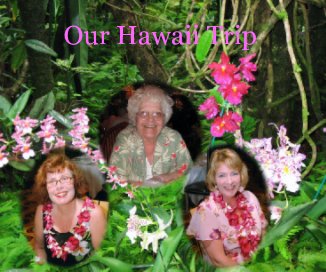 Our Hawaii Trip book cover