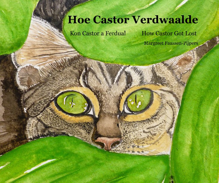 View Hoe Castor Verdwaalde (2nd Edition) by Margreet Faassen-Pijpers