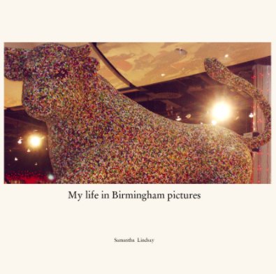 My life in Birmingham pictures book cover
