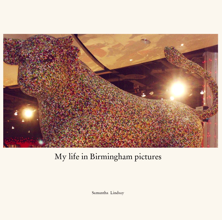 View My life in Birmingham pictures by Samantha  Lindsay