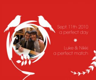 Luke and Nikki- the perfect match book cover