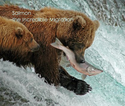 Salmon the Incredible Migration book cover