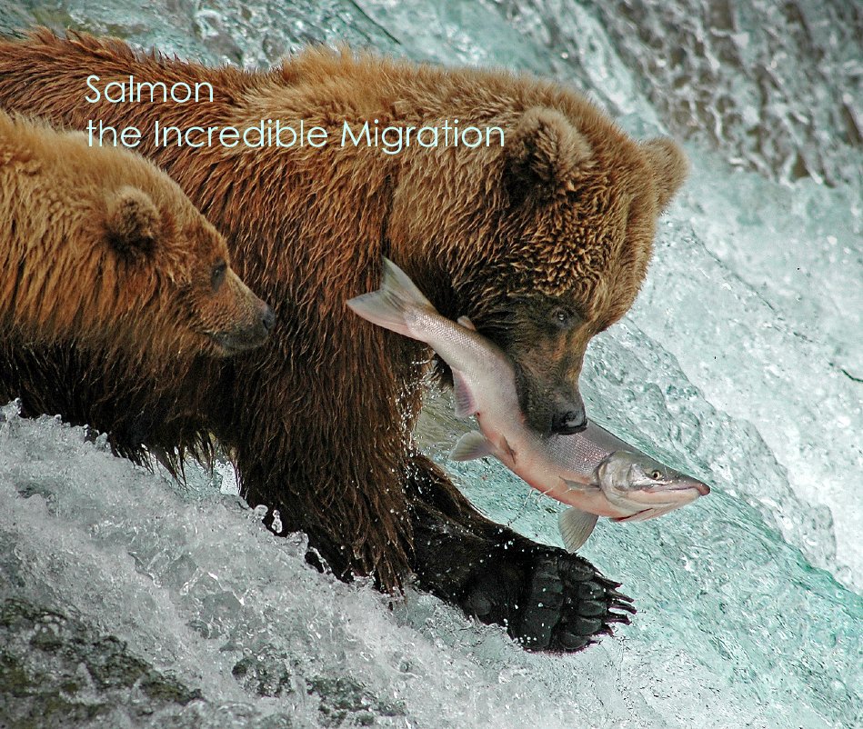 View Salmon the Incredible Migration by Mark Emery