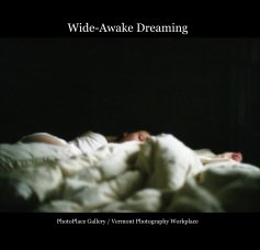 Wide-Awake Dreaming book cover
