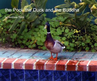 The Pool, the Duck and the Buddha book cover