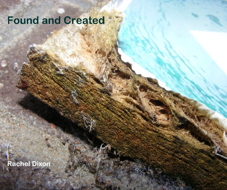 Ver Found and Created por Rachel Dixon