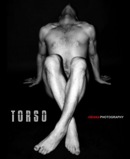 Torsos book cover