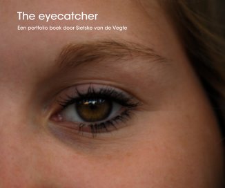 The eyecatcher book cover