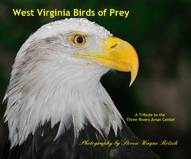 View West Virginia Birds of Prey by Photography by Steven Wayne Rotsch