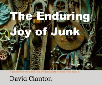 The Enduring Joy of Junk book cover