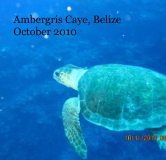 Ambergris Caye, Belize October 2010 book cover