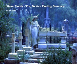 Stone Souls: The Never Ending Journey book cover
