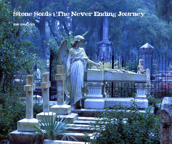 Visualizza Stone Souls: The Never Ending Journey di Sid Graves