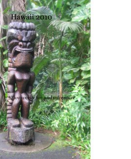 Hawaii 2010 book cover