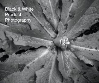 Black & White Product Photography book cover