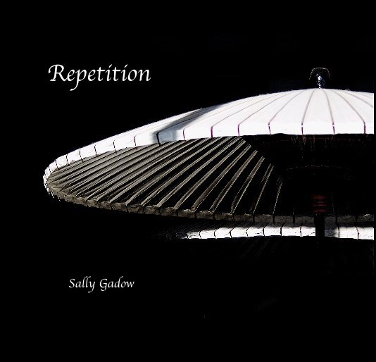 View Repetition by Sally Gadow
