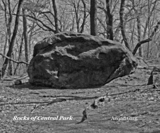 Rocks of Central Park book cover