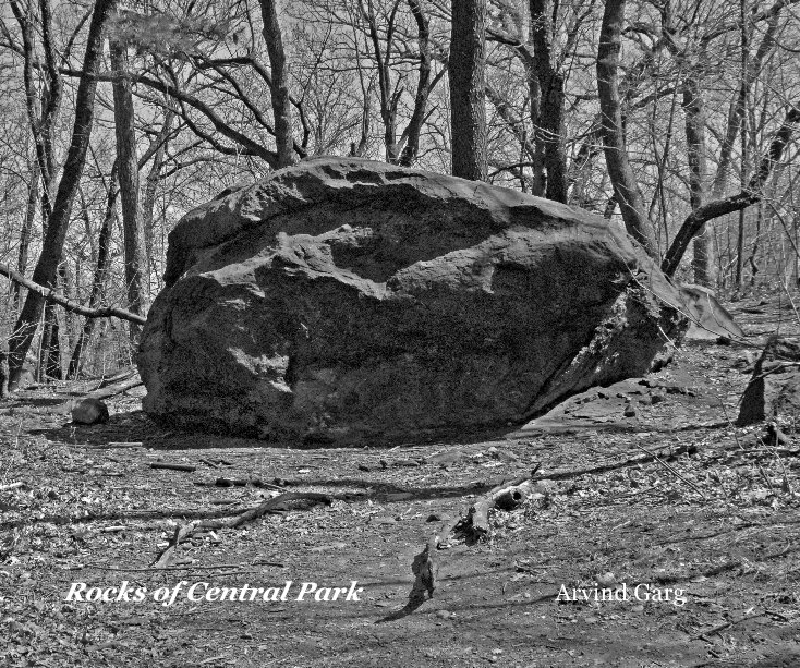 View Rocks of Central Park by Arvind Garg