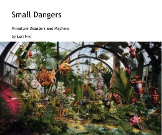 Small Dangers book cover