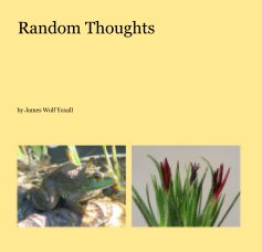Random Thoughts book cover