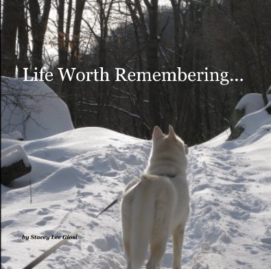 Life Worth Remembering... book cover