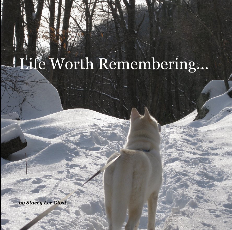 View Life Worth Remembering... by Stacey Lee Giosi