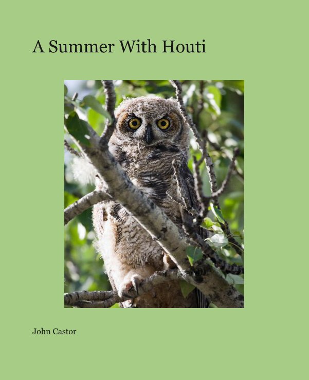View A Summer With Houti by John Castor