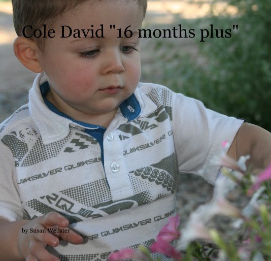 View Cole David "16 months plus" by Susan Webster