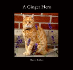 A Ginger Hero book cover