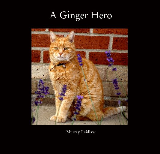 View A Ginger Hero by Murray Laidlaw