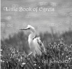 Little Book of Egrets book cover