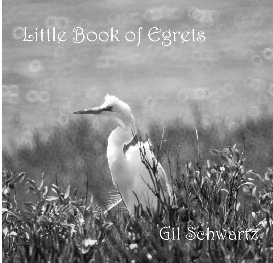 View Little Book of Egrets by Gil Schwartz