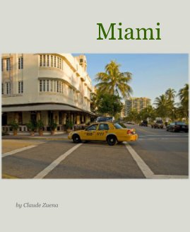 Miami book cover