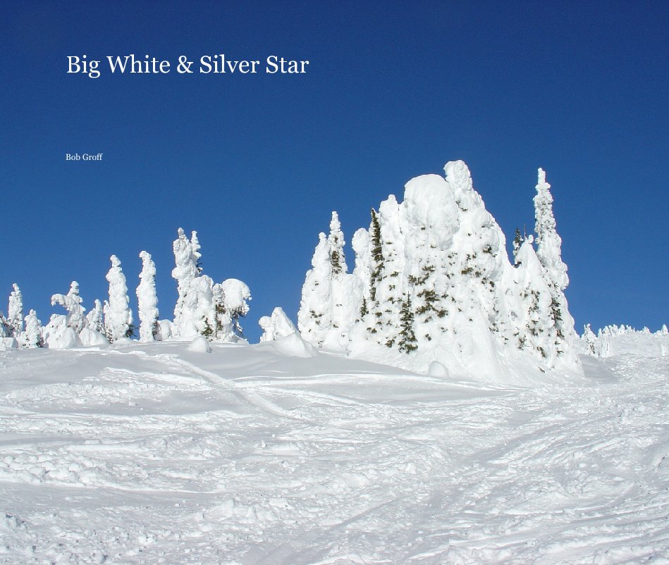 View Big White & Silver Star by Bob Groff