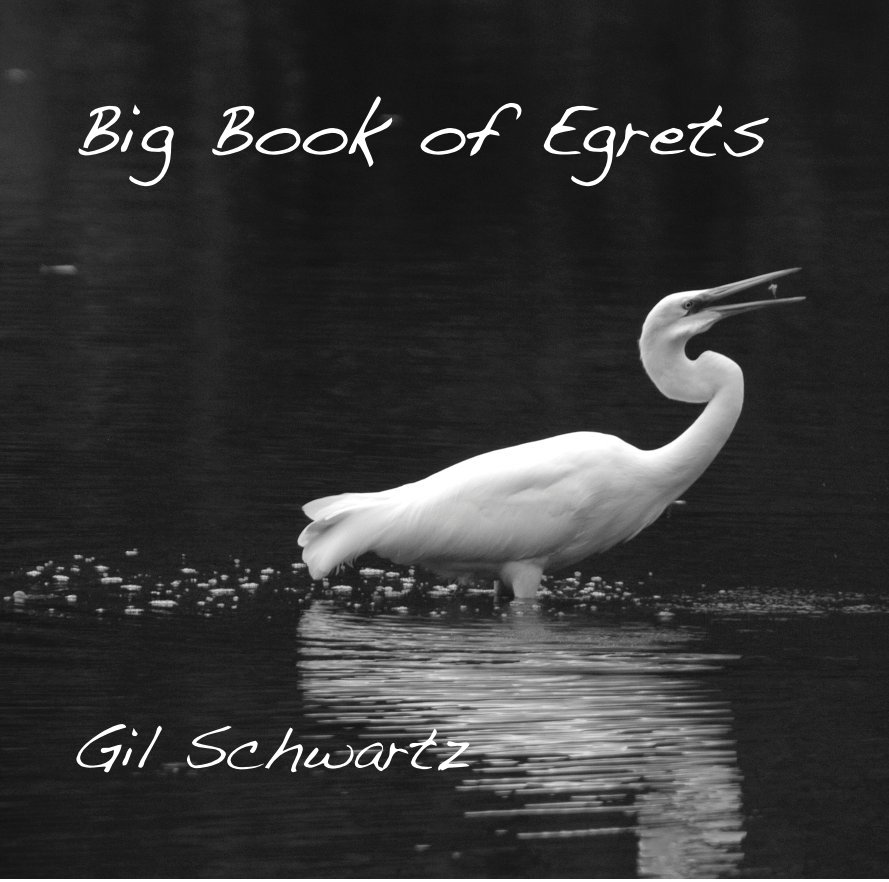 View Big Book of Egrets by Gil Schwartz