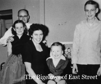 The Bigelows of East Street book cover