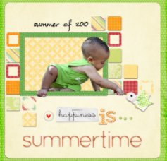 Summertime 2010 book cover