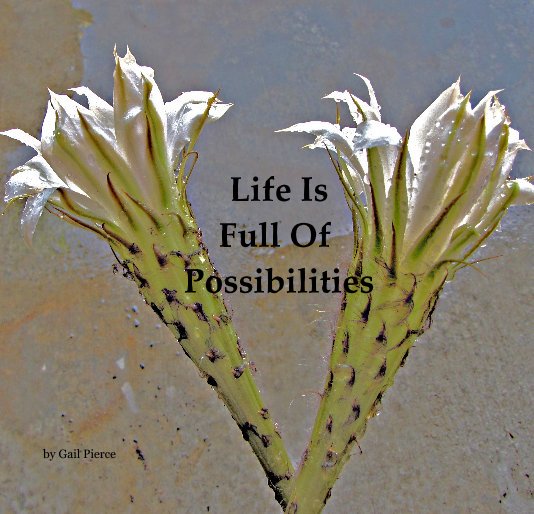 View Life Is Full Of Possibilities by Gail Pierce