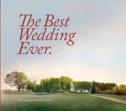 The Best Wedding Ever. book cover