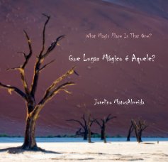What Magic Place Is That One? book cover