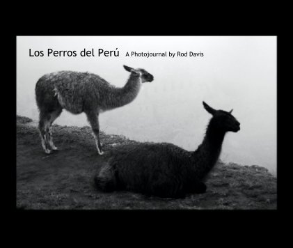 Los Perros del Peru    A Photojournal by Rod Davis book cover