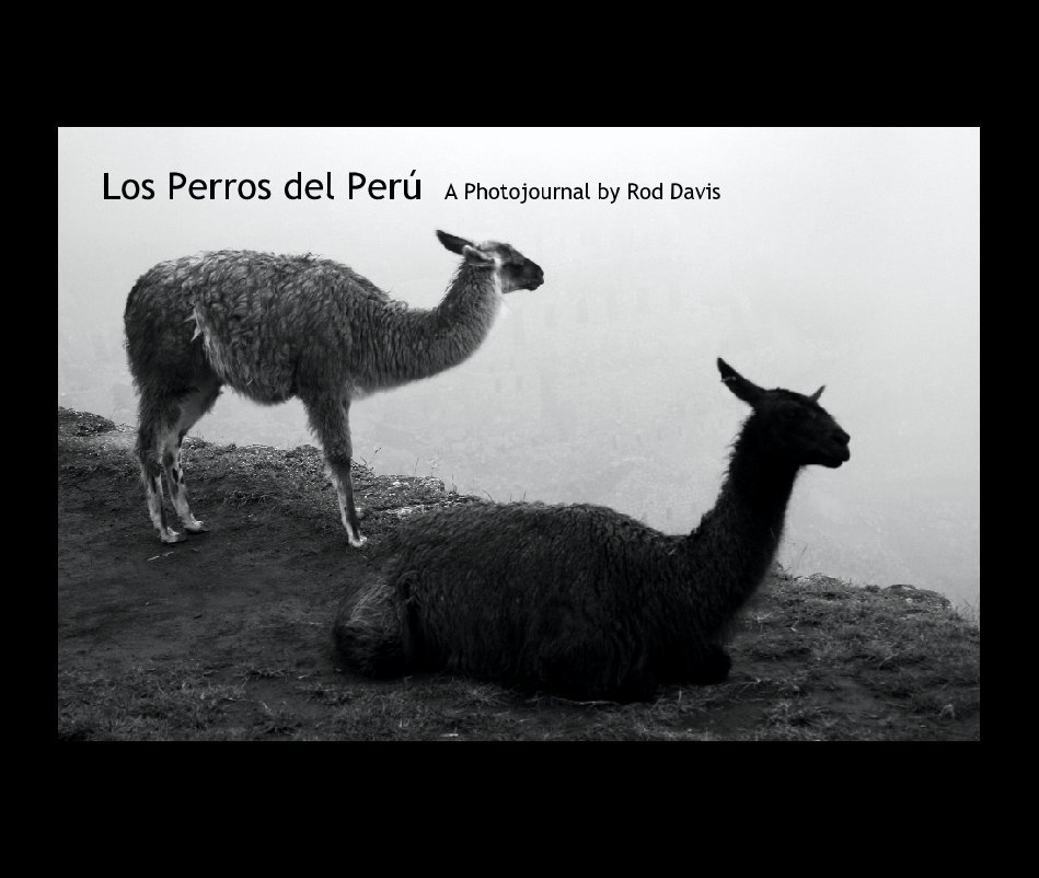Ver Los Perros del Peru    A Photojournal by Rod Davis por Rod Davis