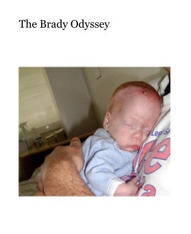 The Brady Odyssey book cover